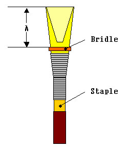 Bridleの位置